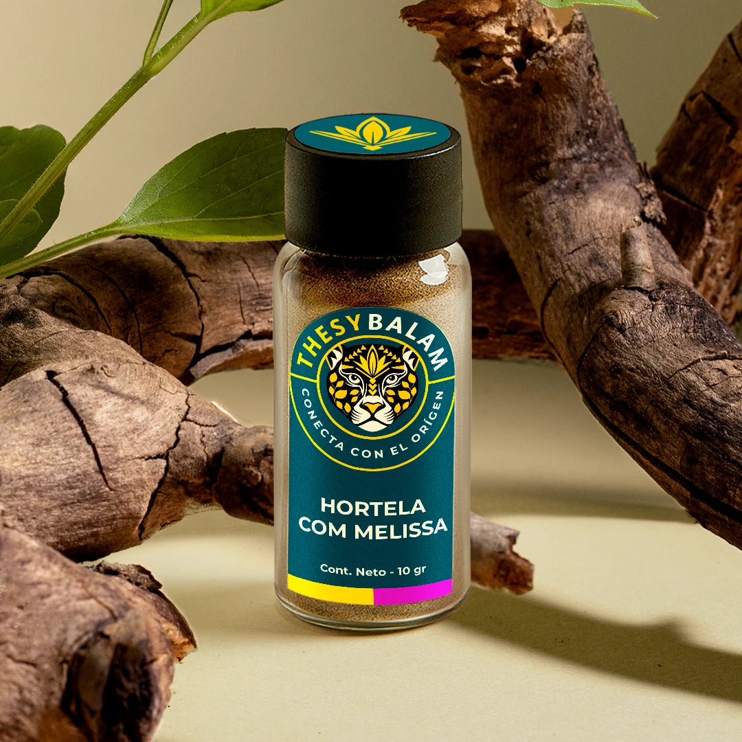 HORTELÃ COM MELISSA