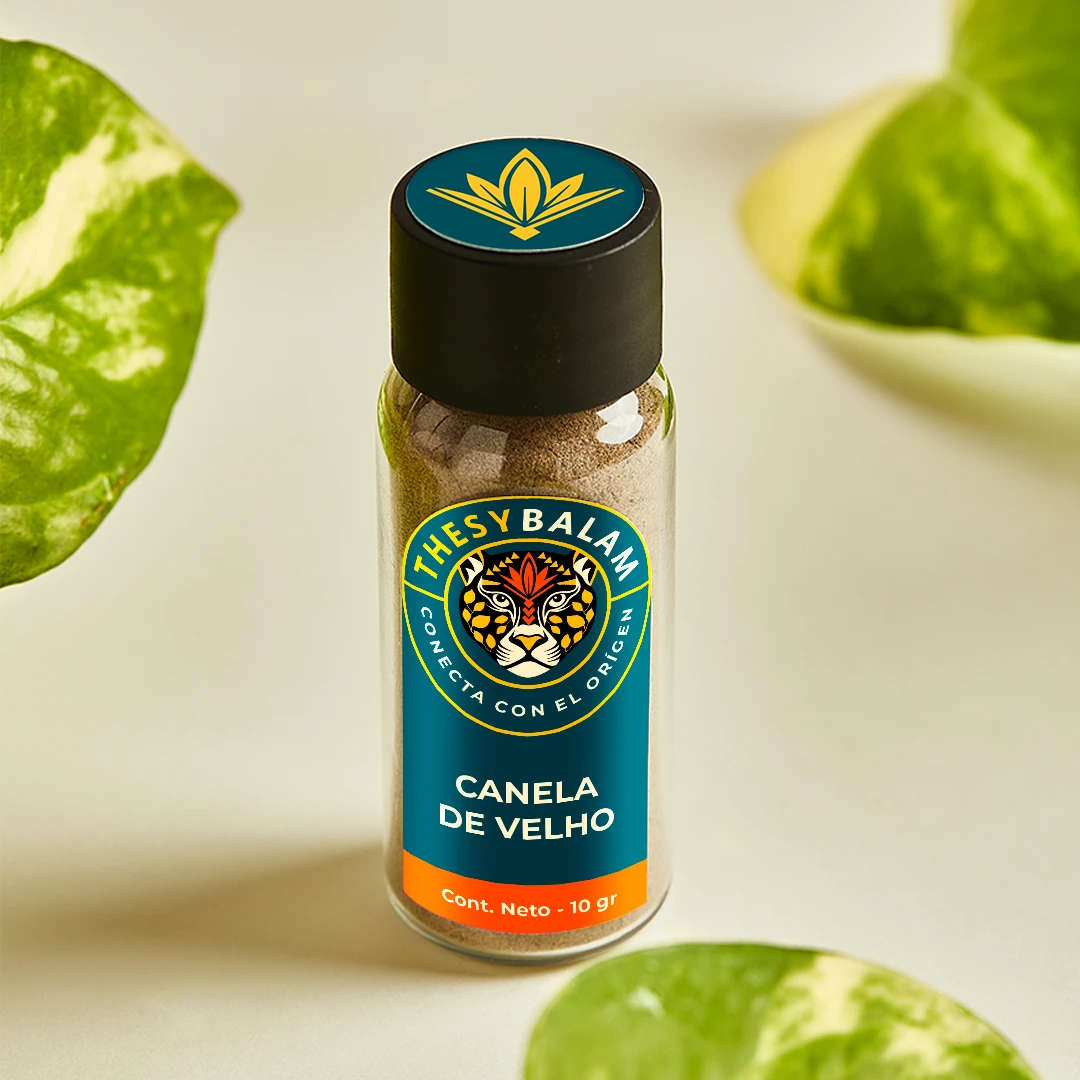 CANELA DE VELHO