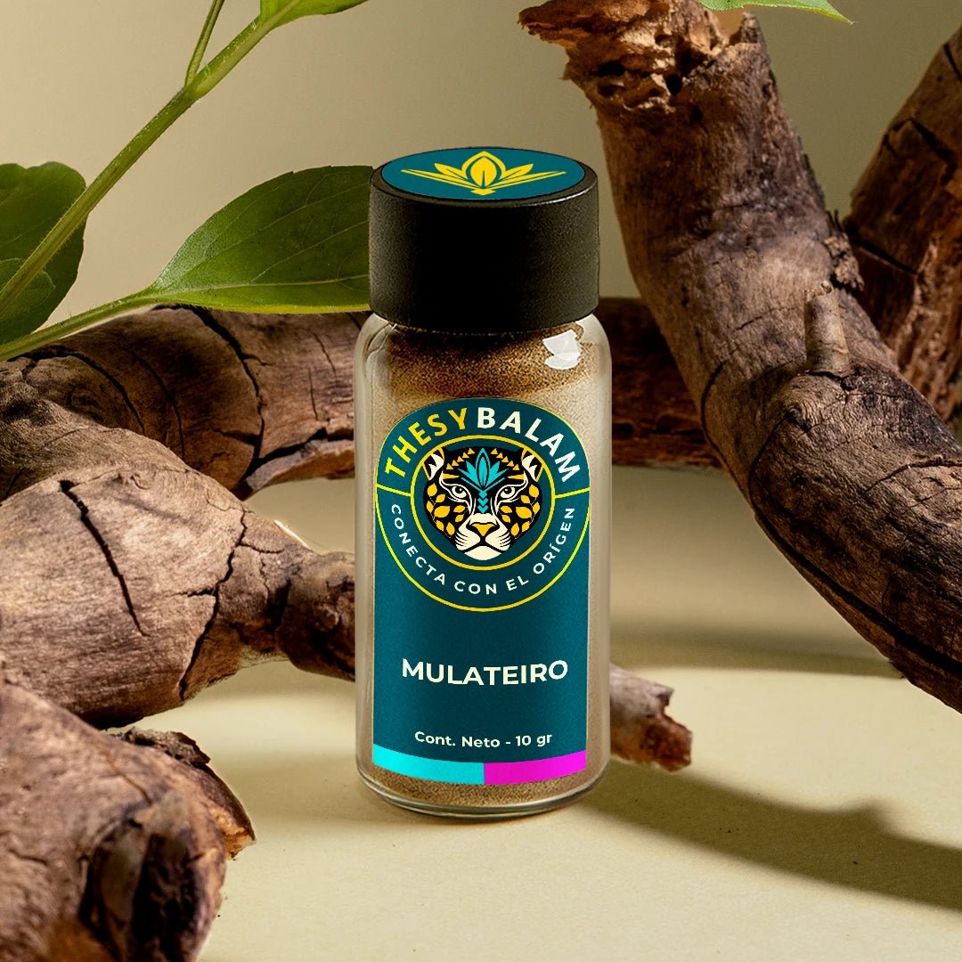 MULATEIRO - Thesybalam